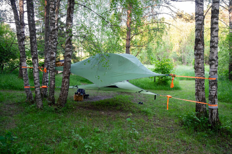 A green Tensile with rain cover between birch trees