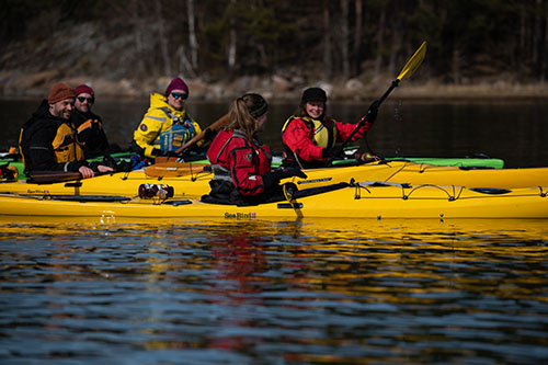 A group of people kayaking on yellow kayaks on the archipelago