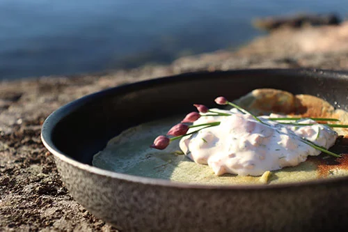 A tasty meal on a bowl resting on a rock by the sea